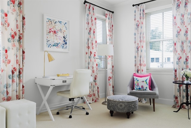 office space featuring carpet, crown molding, and plenty of natural light