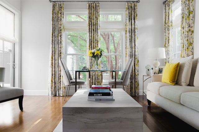 living room with hardwood / wood-style floors