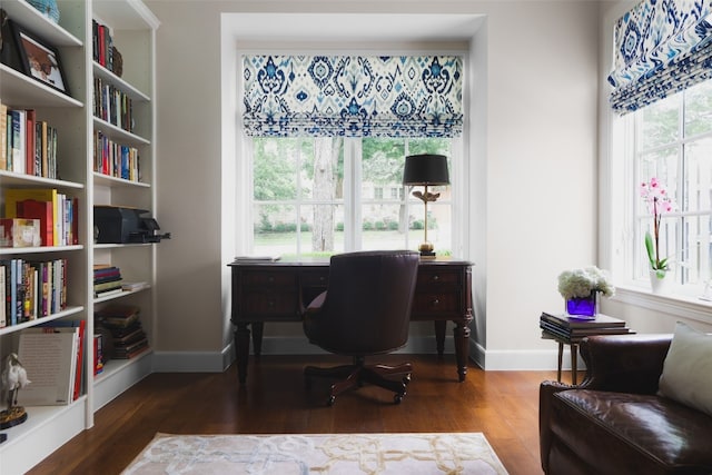 office space featuring plenty of natural light and wood-type flooring