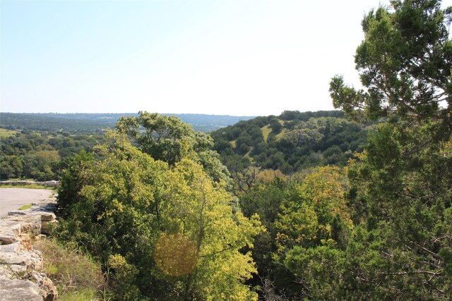 LOTS97, 98 Saddle Ridge Dr, Bertram TX, 78605 land for sale