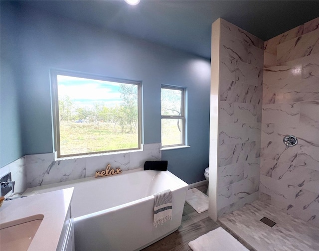 full bathroom featuring vanity, toilet, plenty of natural light, and separate shower and tub