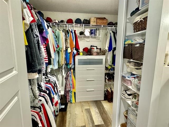 spacious closet featuring light hardwood / wood-style flooring