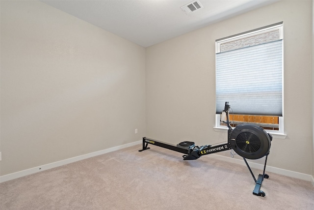 exercise room featuring light colored carpet