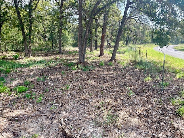 240 Capote Oaks Dr, Seguin, TX 78155 - photo 20