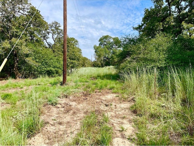 240 Capote Oaks Dr, Seguin, TX 78155 - photo 23