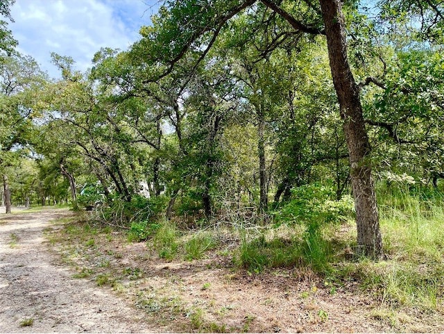 240 Capote Oaks Dr, Seguin, TX 78155 - photo 2