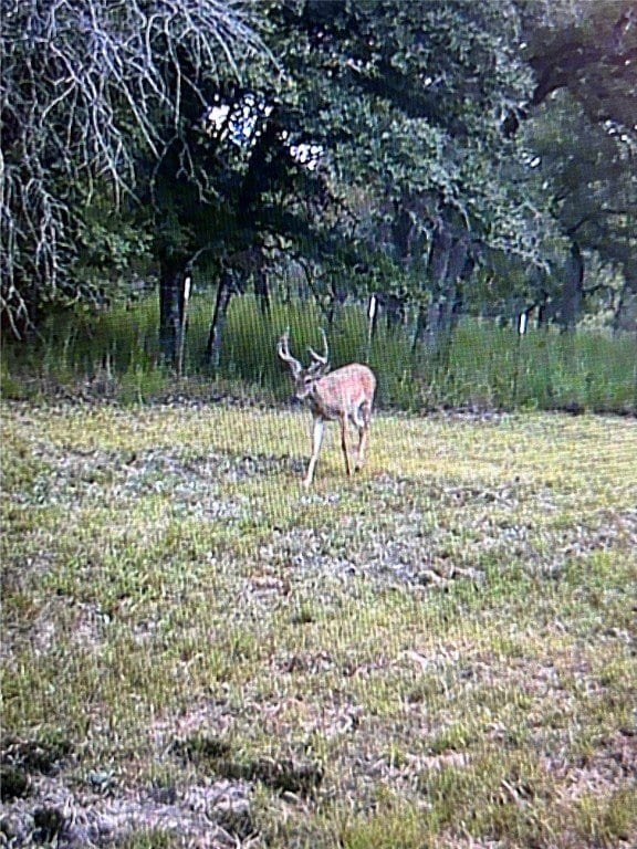 240 Capote Oaks Dr, Seguin, TX 78155 - photo 3