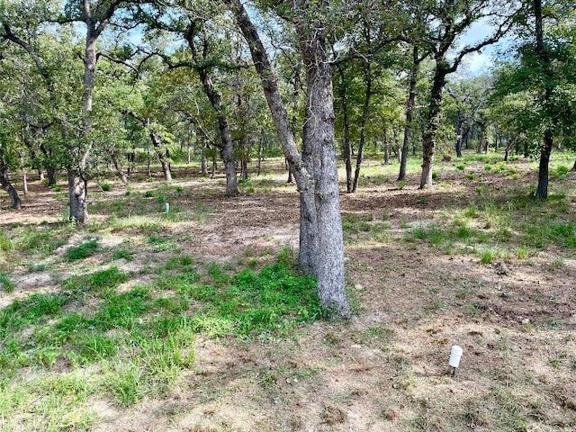 240 Capote Oaks Dr, Seguin, TX 78155 - photo 10