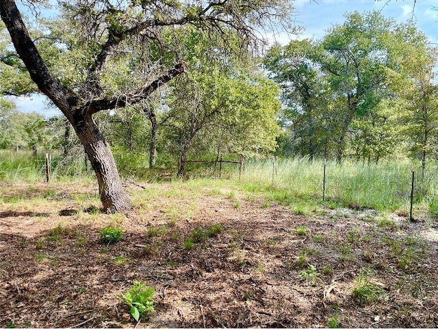 240 Capote Oaks Dr, Seguin, TX 78155 - photo 11