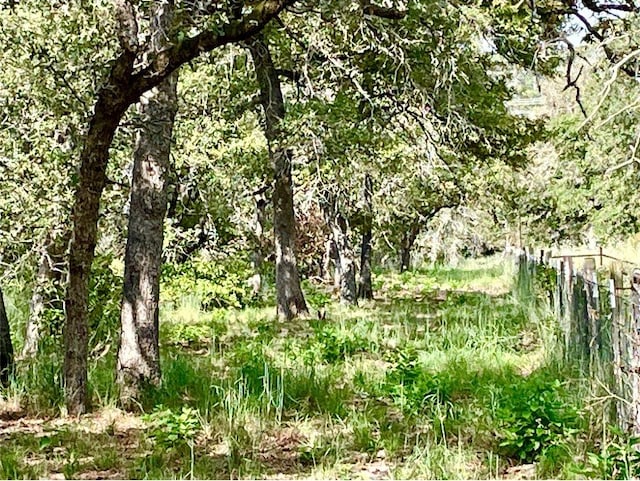 240 Capote Oaks Dr, Seguin, TX 78155 - photo 13