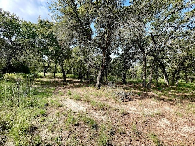 240 Capote Oaks Dr, Seguin, TX 78155 - photo 14