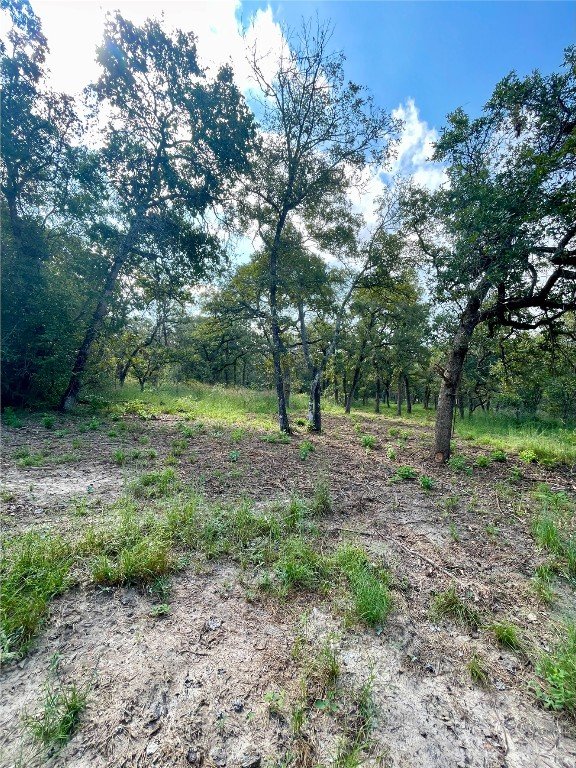 240 Capote Oaks Dr, Seguin, TX 78155 - photo 15