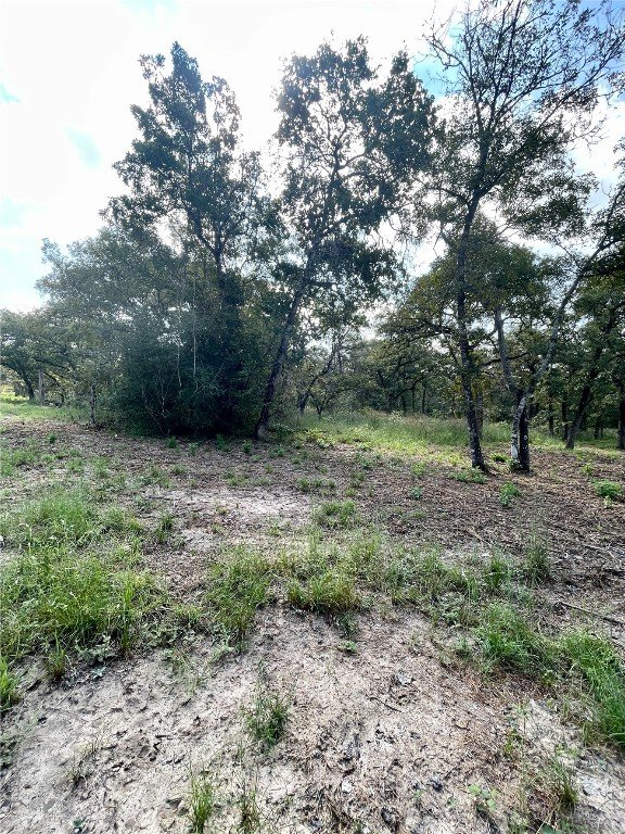 240 Capote Oaks Dr, Seguin, TX 78155 - photo 16