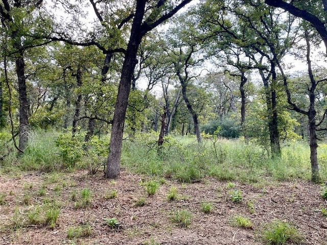 240 Capote Oaks Dr, Seguin, TX 78155 - photo 17