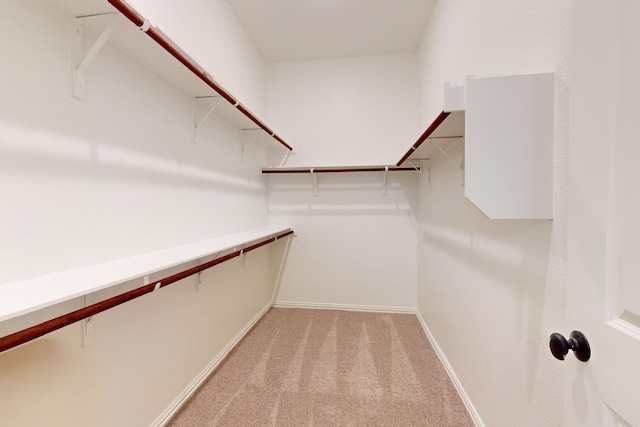 spacious closet with light carpet