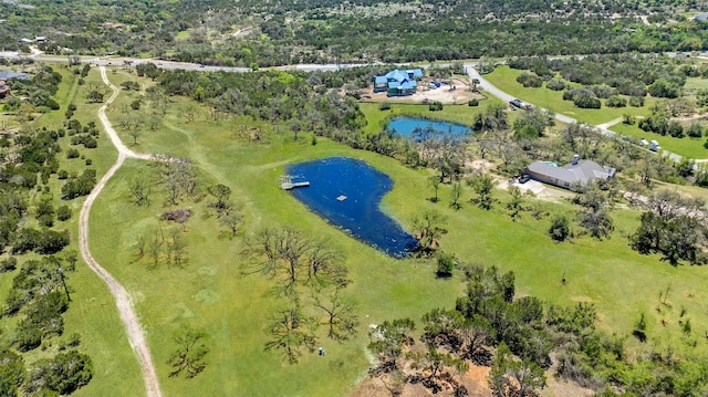 17522 Hamilton Pool Rd, Austin TX, 78738 land for sale