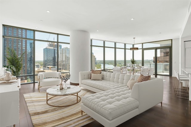 living room featuring a healthy amount of sunlight, expansive windows, and dark hardwood / wood-style flooring