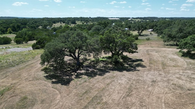 TBD Redemption Ave, Dripping Springs, TX 78620 - photo 2