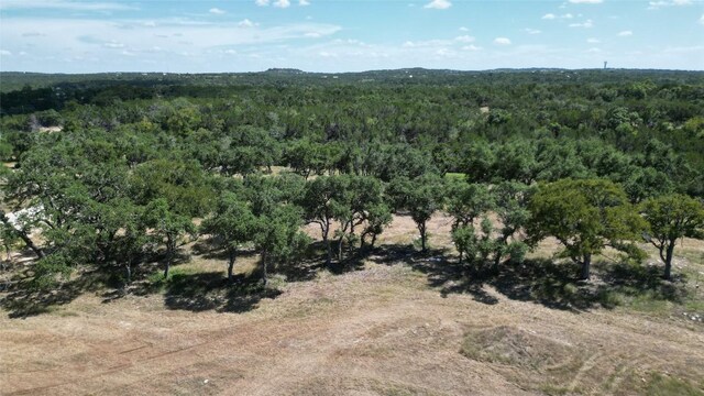 TBD Redemption Ave, Dripping Springs, TX 78620 - photo 4
