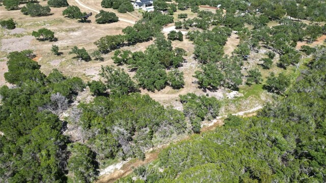 TBD Redemption Ave, Dripping Springs, TX 78620 - photo 9