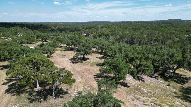 TBD Redemption Ave, Dripping Springs, TX 78620 - photo 11