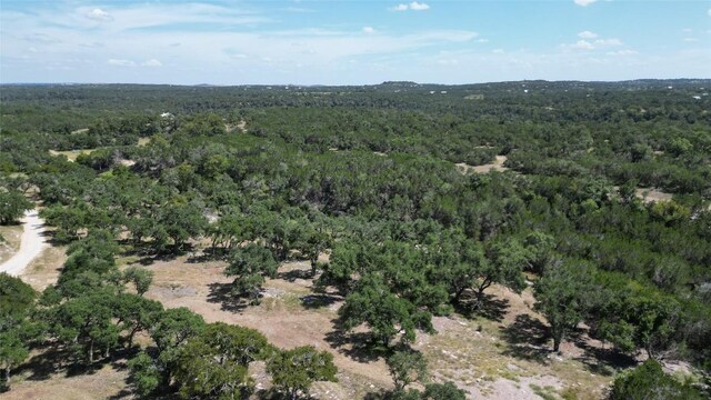 TBD Redemption Ave, Dripping Springs, TX 78620 - photo 12