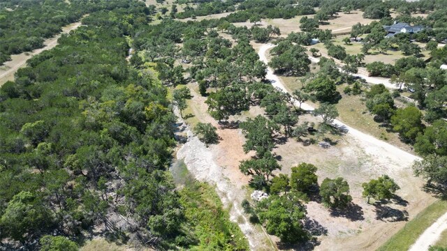 TBD Redemption Ave, Dripping Springs, TX 78620 - photo 14