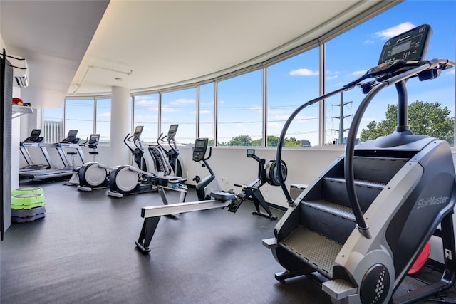 workout area with a wealth of natural light