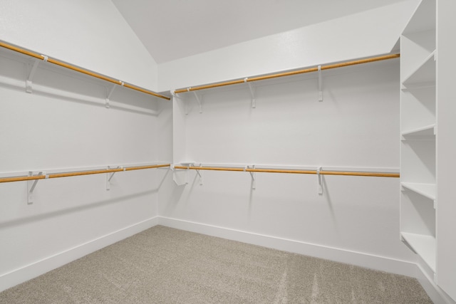 walk in closet featuring vaulted ceiling and carpet