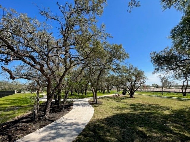 view of community with a lawn