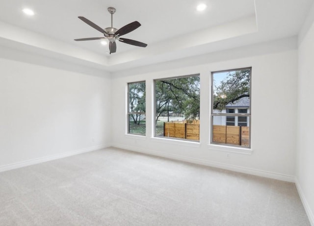 unfurnished room with plenty of natural light, a raised ceiling, and carpet