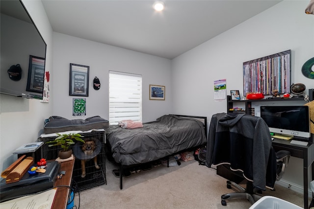 bedroom featuring carpet