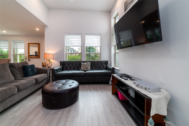 living room featuring a wealth of natural light and light hardwood / wood-style floors