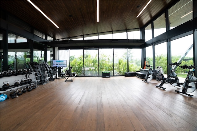 workout area featuring wood-type flooring, a wall of windows, and a healthy amount of sunlight