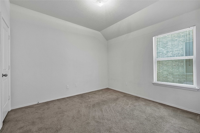 empty room featuring a textured ceiling, lofted ceiling, carpet flooring, and a wealth of natural light