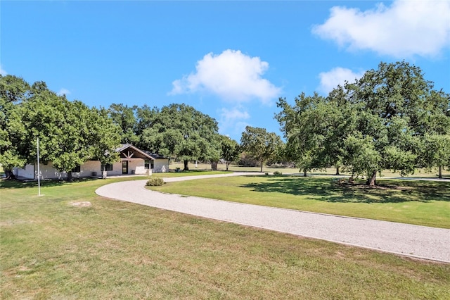 view of home's community with a yard