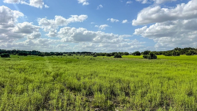 1220 County Road 225, Briggs TX, 78608 land for sale