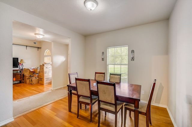 dining space featuring hardwood / wood-style flooring