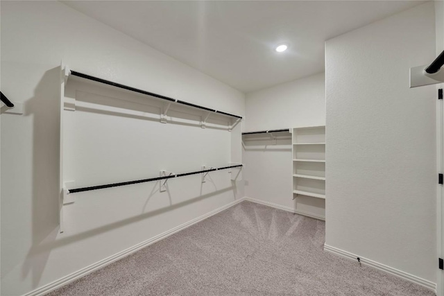 walk in closet with light carpet