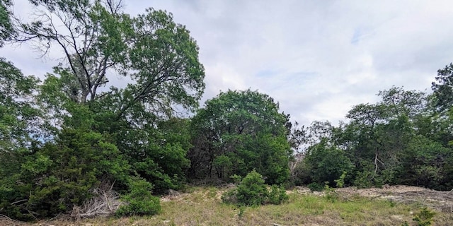 Listing photo 3 for 00 County Rd 250, Burnet TX 78611