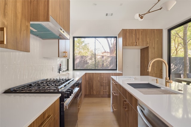 kitchen with backsplash, sink, range hood, light hardwood / wood-style floors, and stainless steel appliances