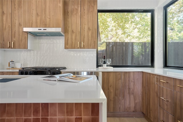 kitchen featuring hardwood / wood-style floors, stove, exhaust hood, and tasteful backsplash