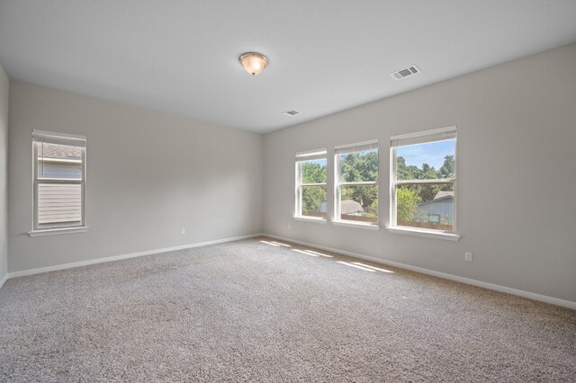 empty room with carpet floors and a healthy amount of sunlight