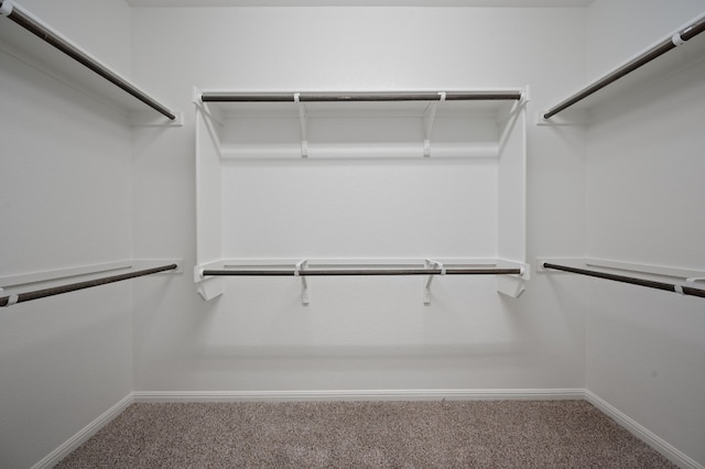 spacious closet with carpet flooring