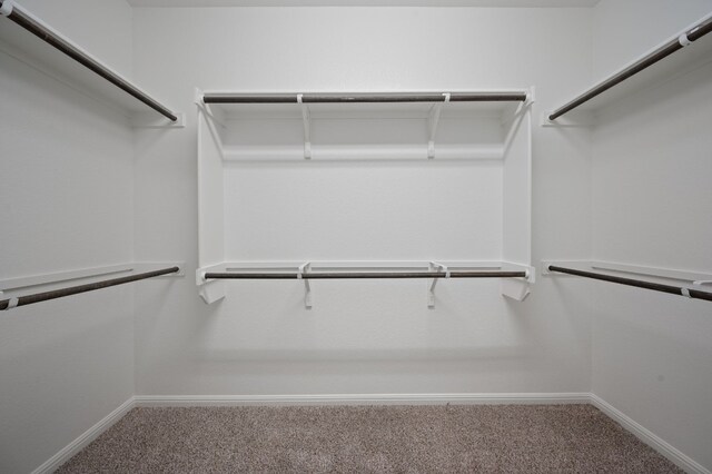 112 Driftwood Hills Way, Georgetown, TX 78633 - walk in closet with carpet