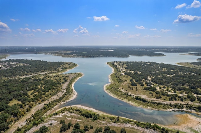 112 Driftwood Hills Way, Georgetown, TX 78633 - bird's eye view of a nearby body of water