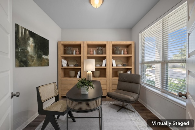 sitting room featuring dark hardwood / wood-style floors