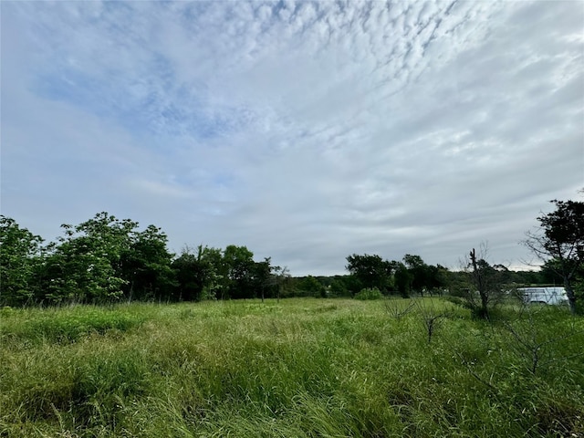 view of local wilderness with a rural view