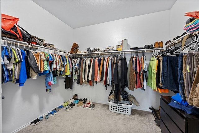 spacious closet with carpet