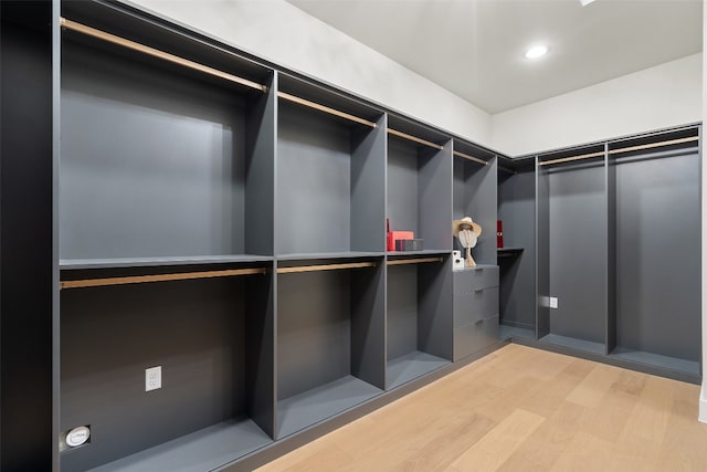 spacious closet with hardwood / wood-style flooring